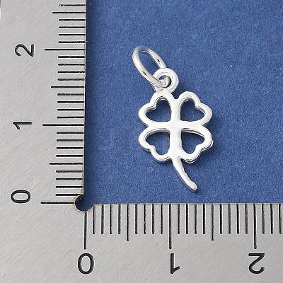 S925 Sterling Silver Pendant STER-H115-08B-S-1