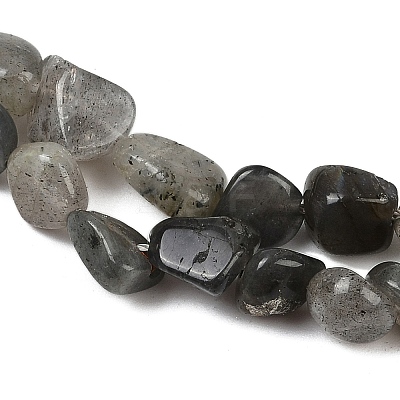 Natural Labradorite Beads Strands G-Q060-E20-02-1