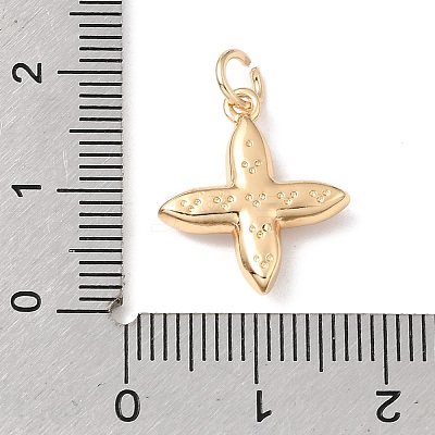 Natural Shell Pendants KK-N290-04G-1
