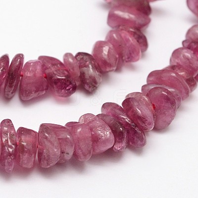 Chips Natural Tourmaline Beads Strands G-N0164-04B-1