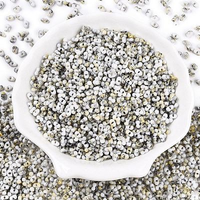 Two Tone Baking Paint Glass Seed Beads SEED-C003-01P-1