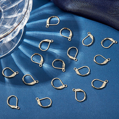 50Pcs 304 Stainless Steel Leverback Earring Findings STAS-BBC0001-44G-1