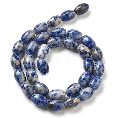 Natural Blue Spot Jasper Beads Strands G-B106-B29-01-1