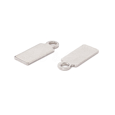 Non-Tarnish 304 Stainless Steel Charms LS-STAS-P307-15A-P-1