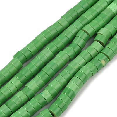 Synthetic Turquoise Beads Strands G-V003-A01-04-1