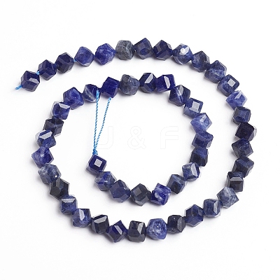 Natural Sodalite Beads Strands G-E560-B02-1