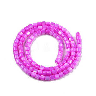 Natural Freshwater Shell Beads Strands SHEL-N003-33-A05-1
