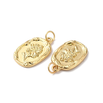Rack Plating Brass Pendants KK-D074-30G-1