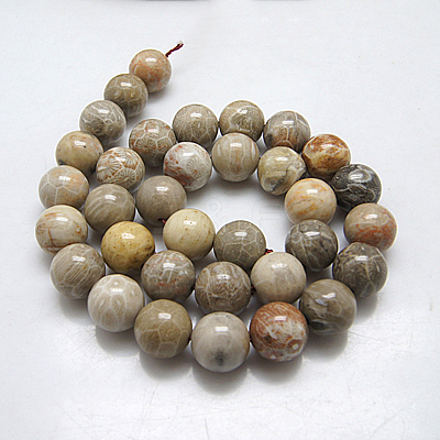 Natural Fossil Coral Round Bead Strands X-G-N0166-05-8mm-1