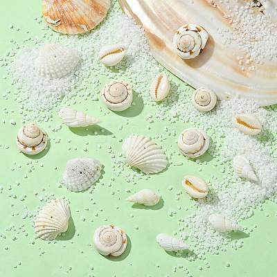 48Pcs 4 Styles Natural Shell Beads BSHE-YW0001-06-1