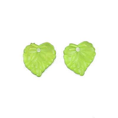 Transparent Acrylic Pendants TACR-T012-05-1