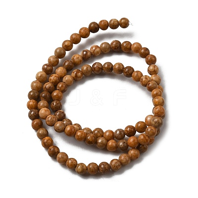 Natural Maifanite/Maifan Stone Beads Strands G-P451-01C-B-1