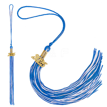 Polyester Graduation Tassel Pendant Decorations AJEW-WH20020-078B-1