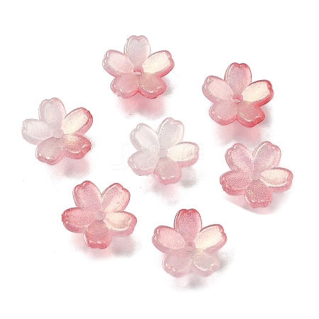 Acrylic Bead Caps OACR-I024-01F-1