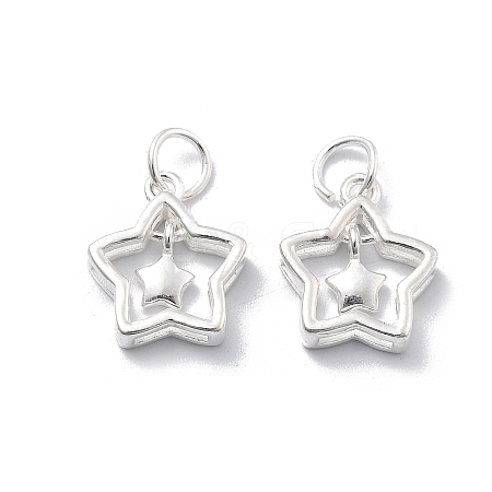 925 Sterling Silver Charms STER-D302-05C-S-1
