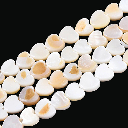 4 Strands Natural Freshwater Shell Beads Strands SHEL-PA0001-06-1