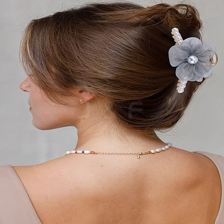 1Pc PS Plastic & Polyester & Iron Claw Hair Clips for Women Girls Thick Hair PHAR-LP0002-31C-1