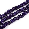 Natural Freshwater Shell Beads Strands SHEL-T020-40B-1