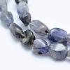 Natural Cordierite/Iolite/Dichroite Beads Strands G-K203-10-3