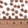 FGB Baking Paint Glass Seed Beads SEED-Q040-09A-07-4