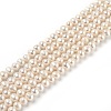 Natural Cultured Freshwater Pearl Beads Strands PEAR-L033-14-1