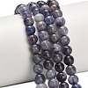 Natural Iolite Beads Strands G-G300-A04-6mm-1