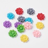Resin Cabochon CRES-B3259-M-1