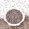 Baking Paint Glass Seed Beads SEED-Q041-03A-15-2