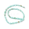 Natural Freshwater Shell Dyed Beads Strands SHEL-M018-13-3