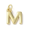 Rack Plating Brass Charms KK-P245-06G-M-1