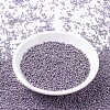 MIYUKI Round Rocailles Beads X-SEED-G007-RR1062-2