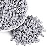 FGB Baking Paint Glass Seed Beads SEED-Q040-09A-17-1