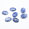 Natural Blue Spot Jasper Cabochons G-T020-13x18mm-09-1