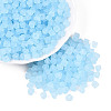 FGB Frosted Transparent Glass Seed Beads SEED-N013-03A-11-1