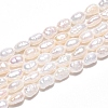 Natural Cultured Freshwater Pearl Beads Strands PEAR-N014-04G-2