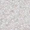 8/0 Round Glass Seed Beads SEED-US0003-3mm-161-2