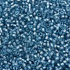 MIYUKI Delica Beads SEED-MY11-DB2383-3