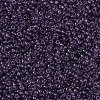 MIYUKI Round Rocailles Beads SEED-JP0008-RR0157-3