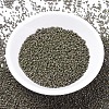 MIYUKI Delica Beads SEED-MY11-DB0657-2