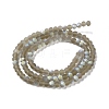 Transparent Glass Beads Strands EGLA-A044-T4mm-MB16-3