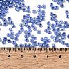 Glass Seed Beads SEED-A011-3mm-146-4