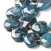 Natural Apatite Beads Strands G-B044-B06-01-3