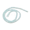 Natural Freshwater Shell Dyed Beads Strands SHEL-R100-12A-02-2