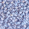 6/0 Glass Seed Beads SEED-N008-07B-3