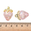 Transparent Acrylic Pendants OACR-I021-02B-3