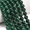 Natural Fuchsite Beads Strands G-L661-B01-10mm-B-1