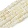 Dyed Natural Freshwater Shell Beads Strands BSHE-G039-07N-1