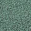 MIYUKI Delica Beads X-SEED-J020-DB1171-3