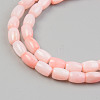 Natural Freshwater Shell Beads Strand X-SHEL-T017-39B-3