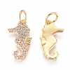 Brass Charms ZIRC-L070-76G-1